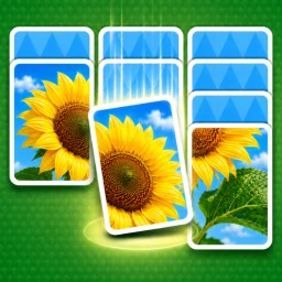 Ikon Jigdrop Match-Solitaire Puzzle